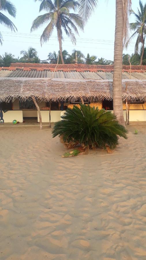Dolphinchilling Hotel Alankuda Exterior photo